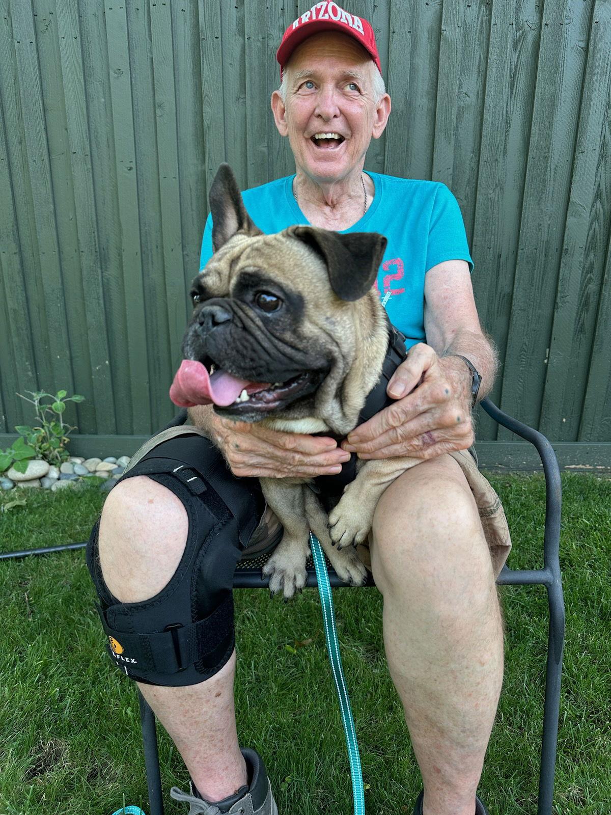 Enlarge Gordo, a Adopted French Bulldog in Dallas, TX image 1/3