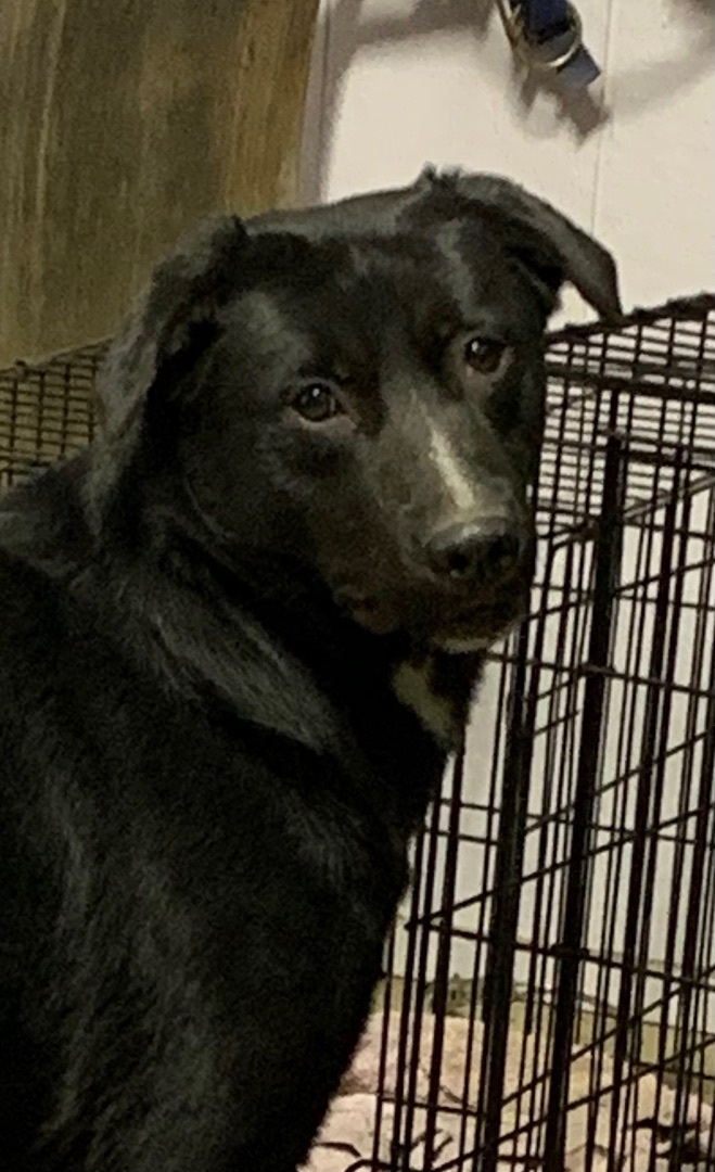 Precious thumbnail 3