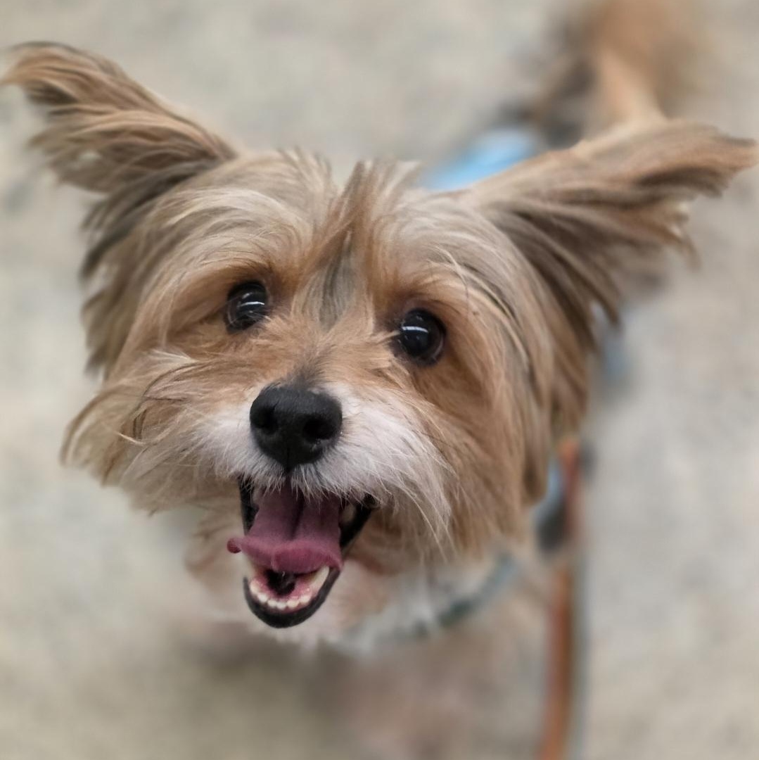 Peppermint Patty photo