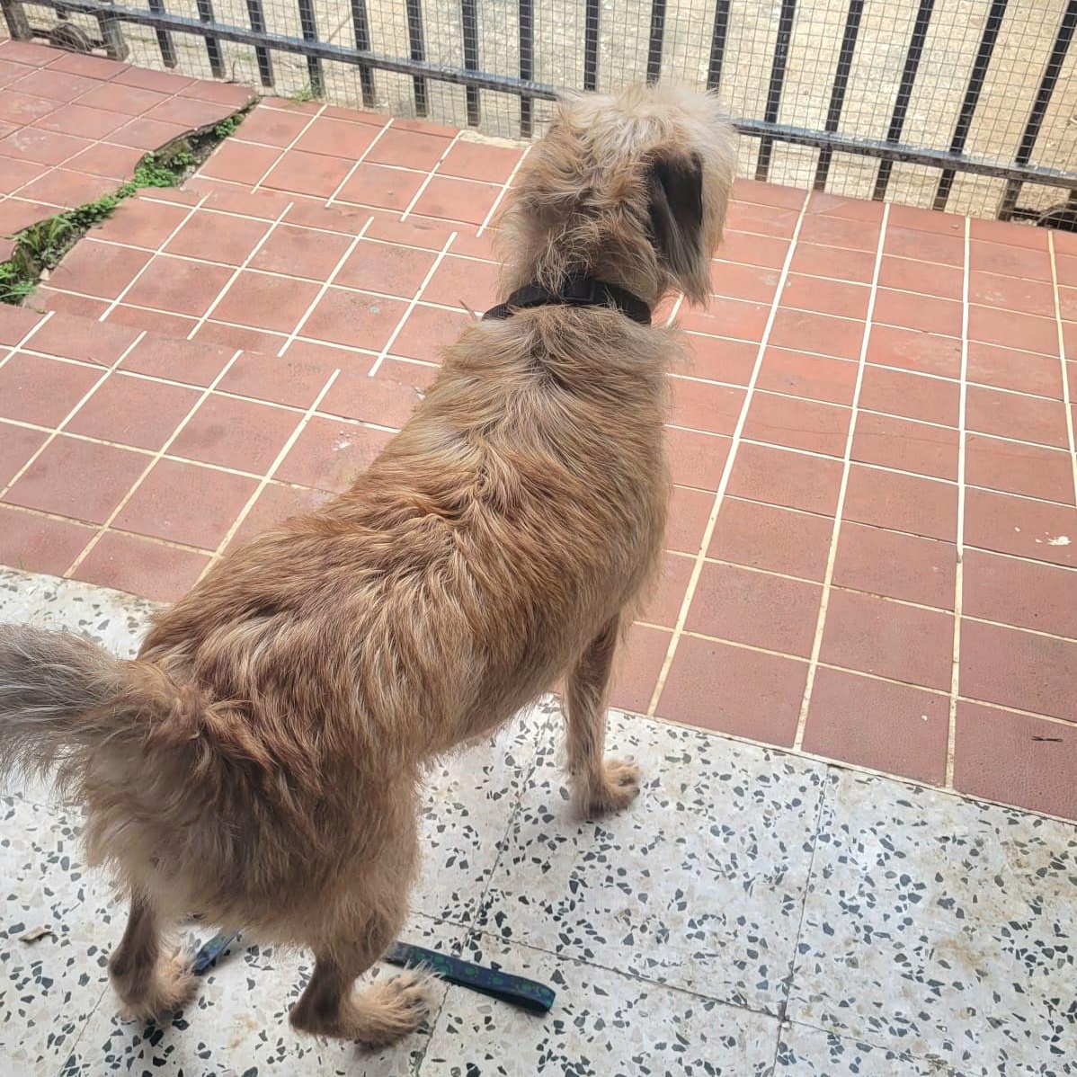 Sandy Simone Urgent Forever thumbnail 3