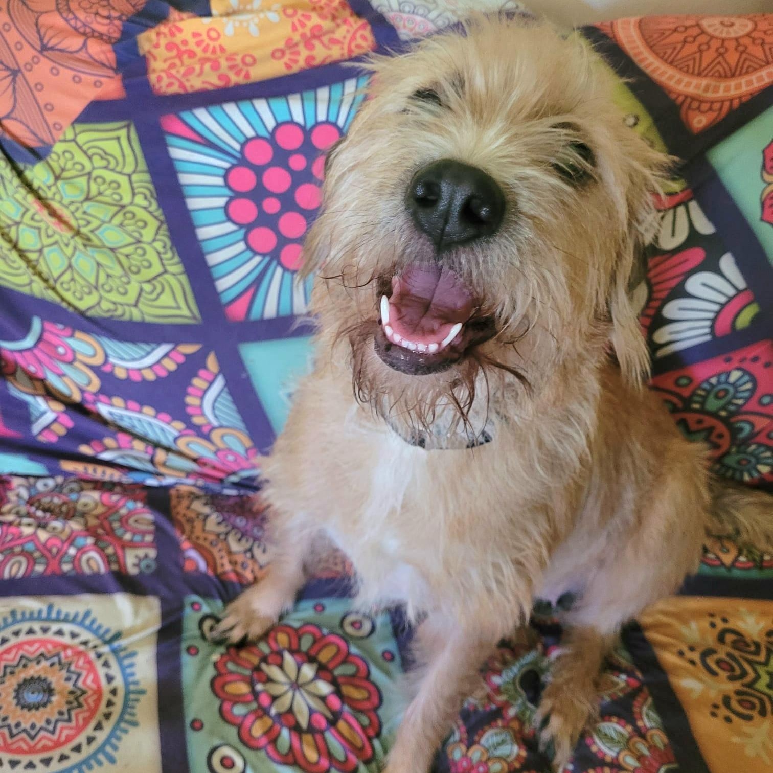 Sandy Simone Urgent Forever thumbnail 6