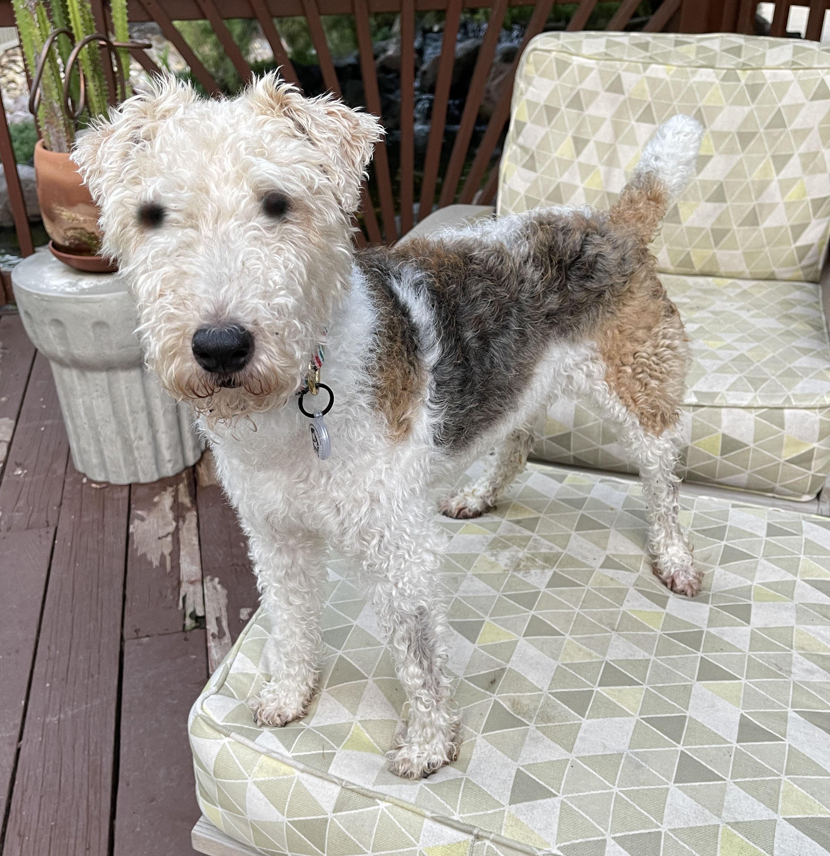 Georgie Porgie photo 1