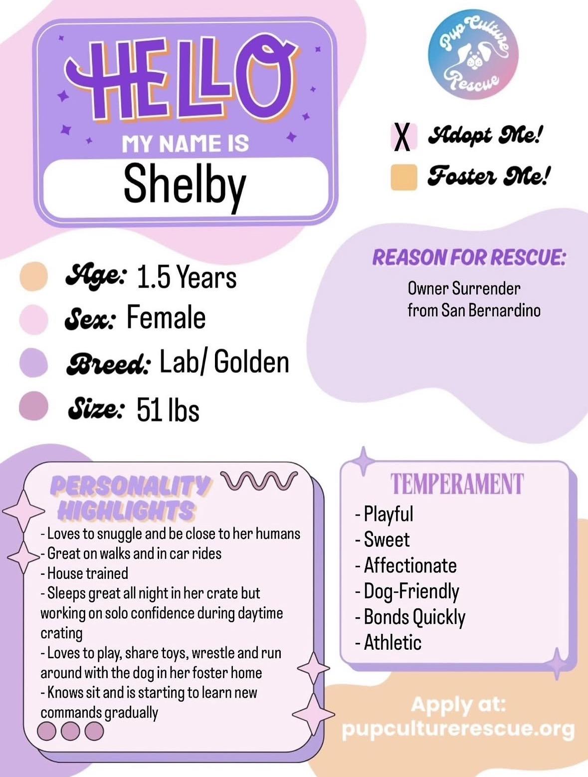 Enlarge Shelby, a ADOPTABLE mixed breed in Pasadena, CA image 2/6
