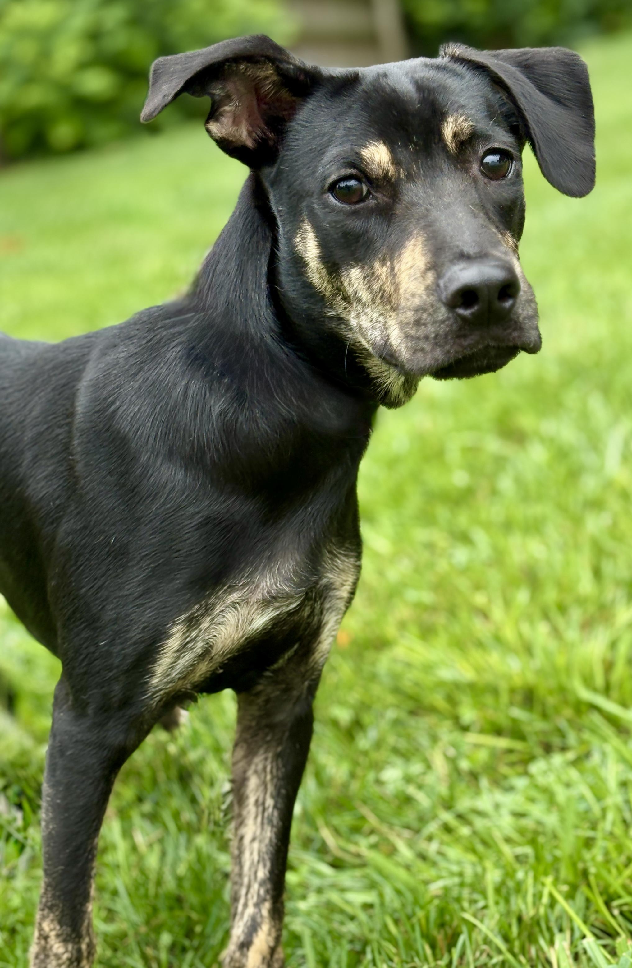 Roscoe, Baby Male unknown