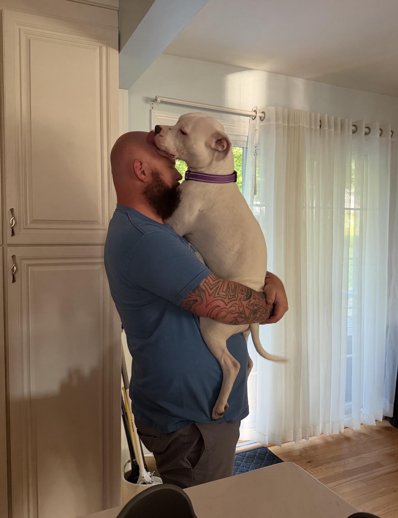 Enlarge Maggie, a Adopted mixed breed in Billings, MT image 6/6