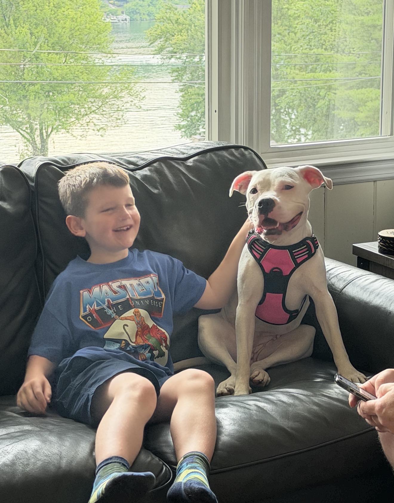 Enlarge Maggie, a Adopted mixed breed in Billings, MT image 1/6