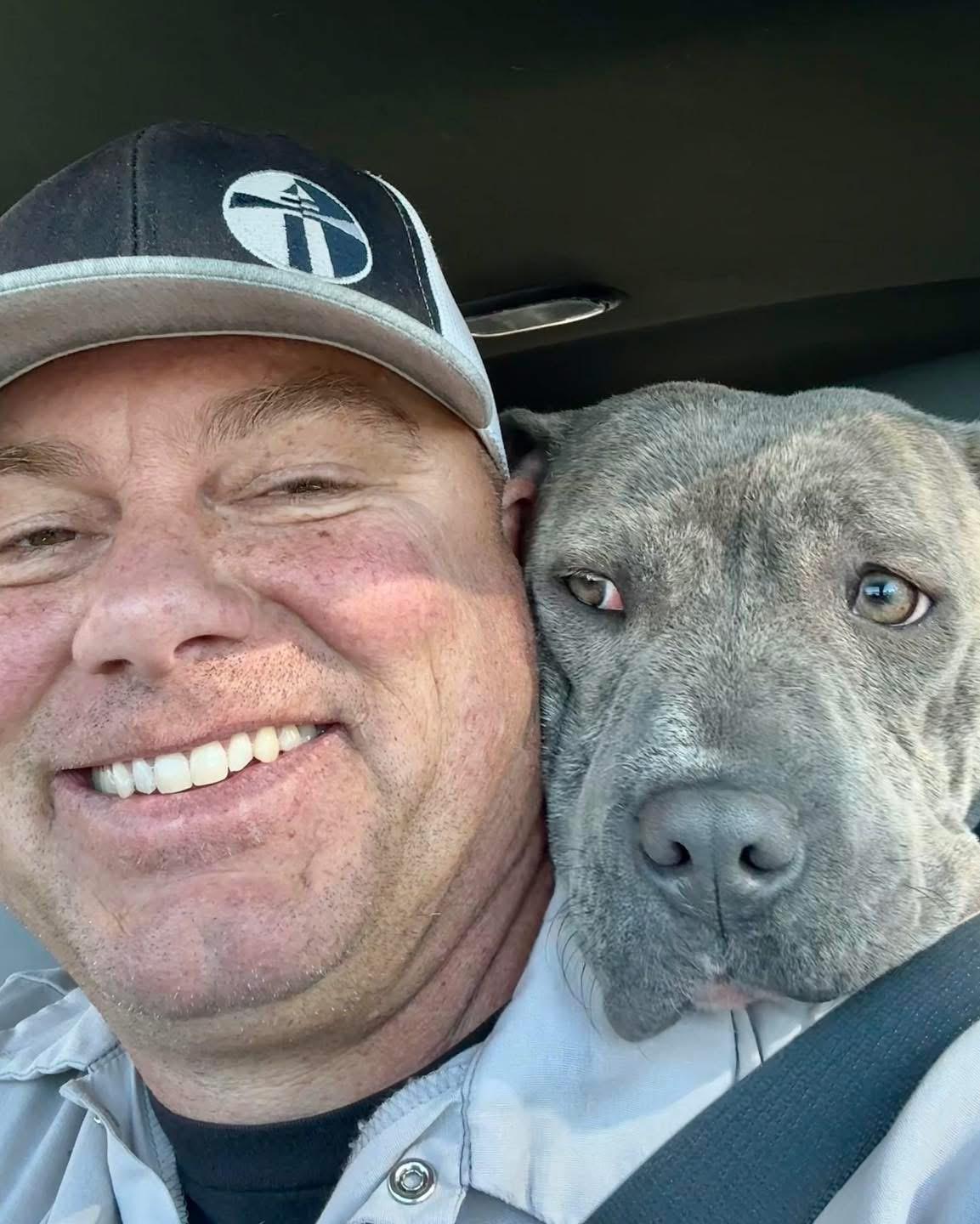 Enlarge NOVA, a ADOPTABLE Pit Bull Terrier in Thousand Oaks, CA image 5/6