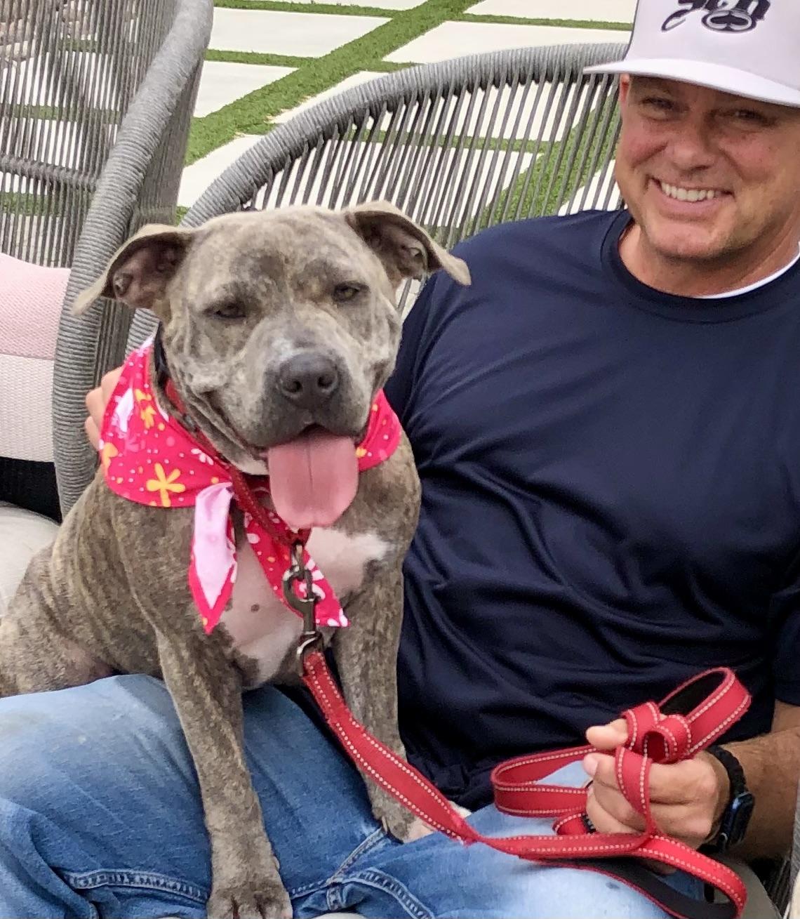 Enlarge NOVA, an adoptable Pit Bull Terrier in Thousand Oaks, CA image 6/6