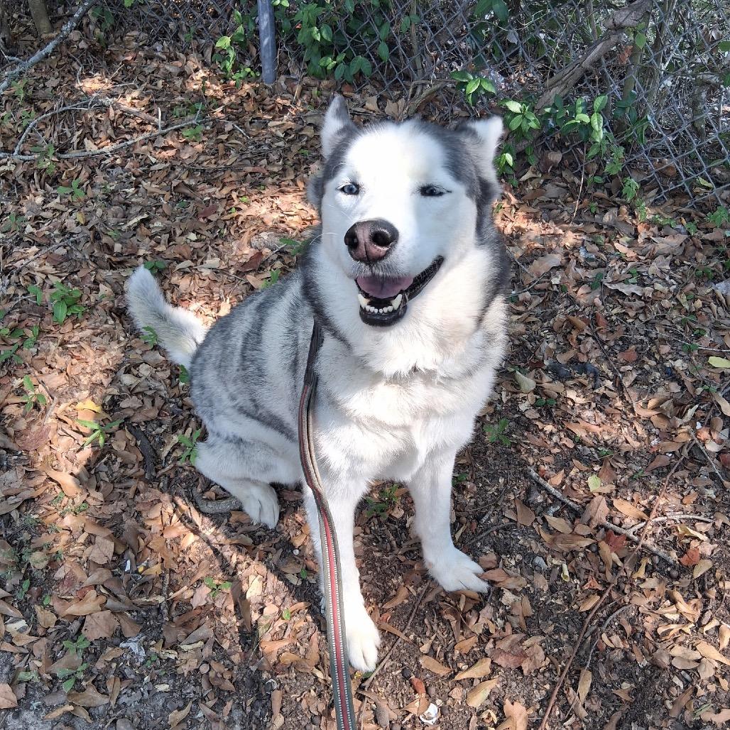 Cloud — thumbnail 2