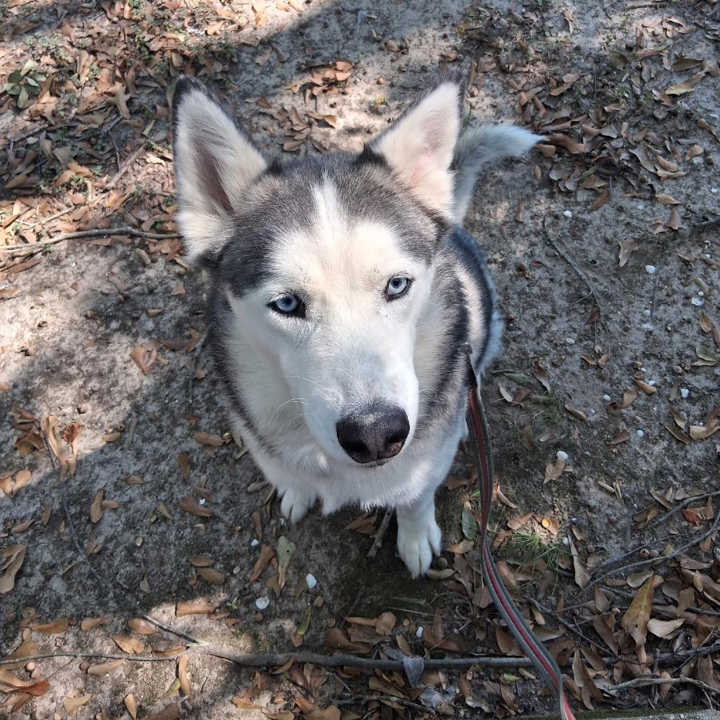 Cloud — thumbnail 3