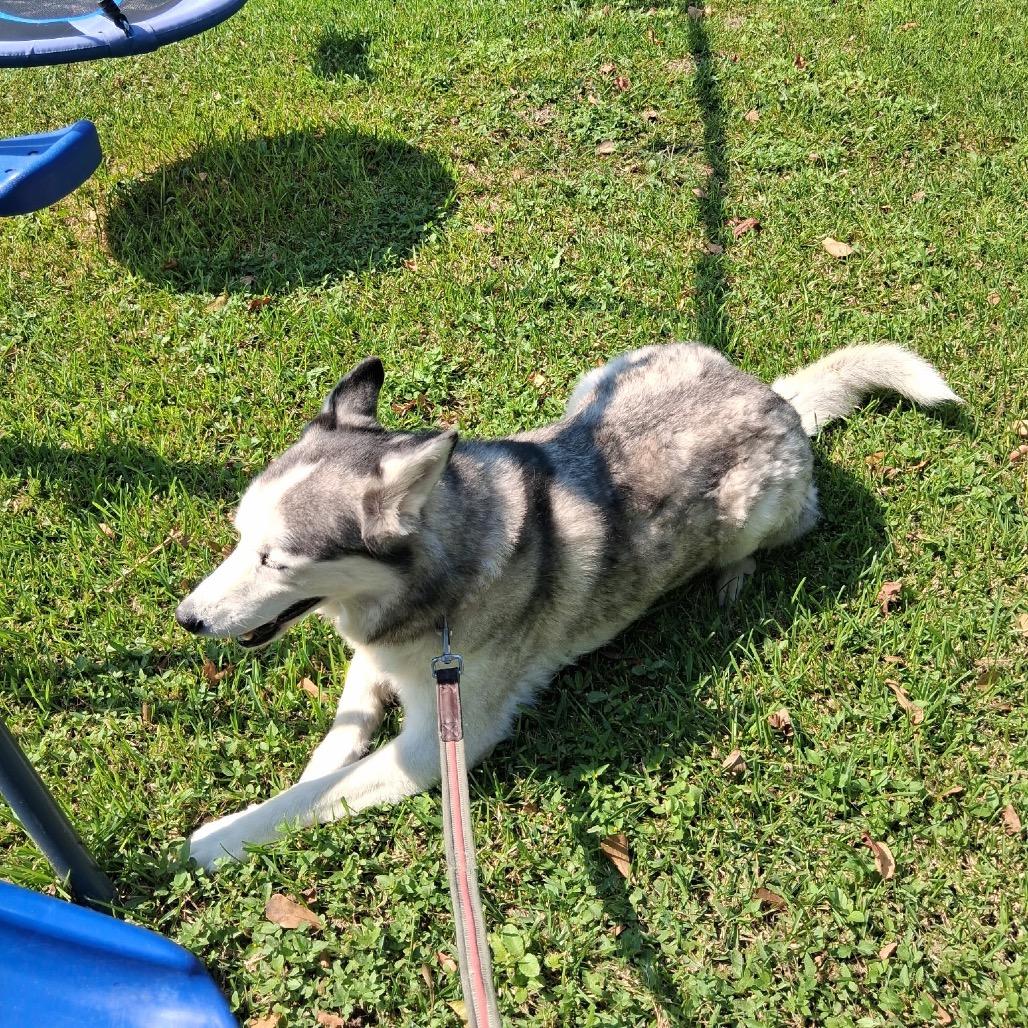 Cloud — thumbnail 4