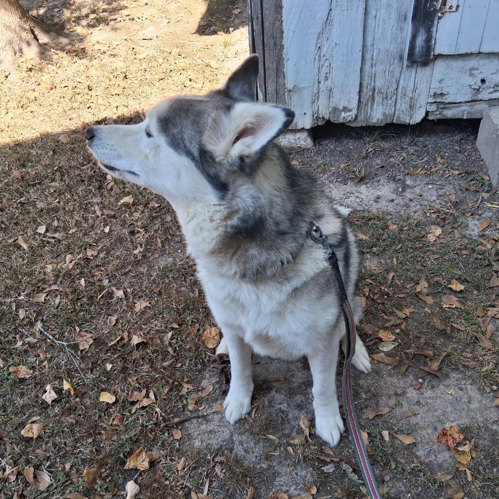 Cloud — thumbnail 6