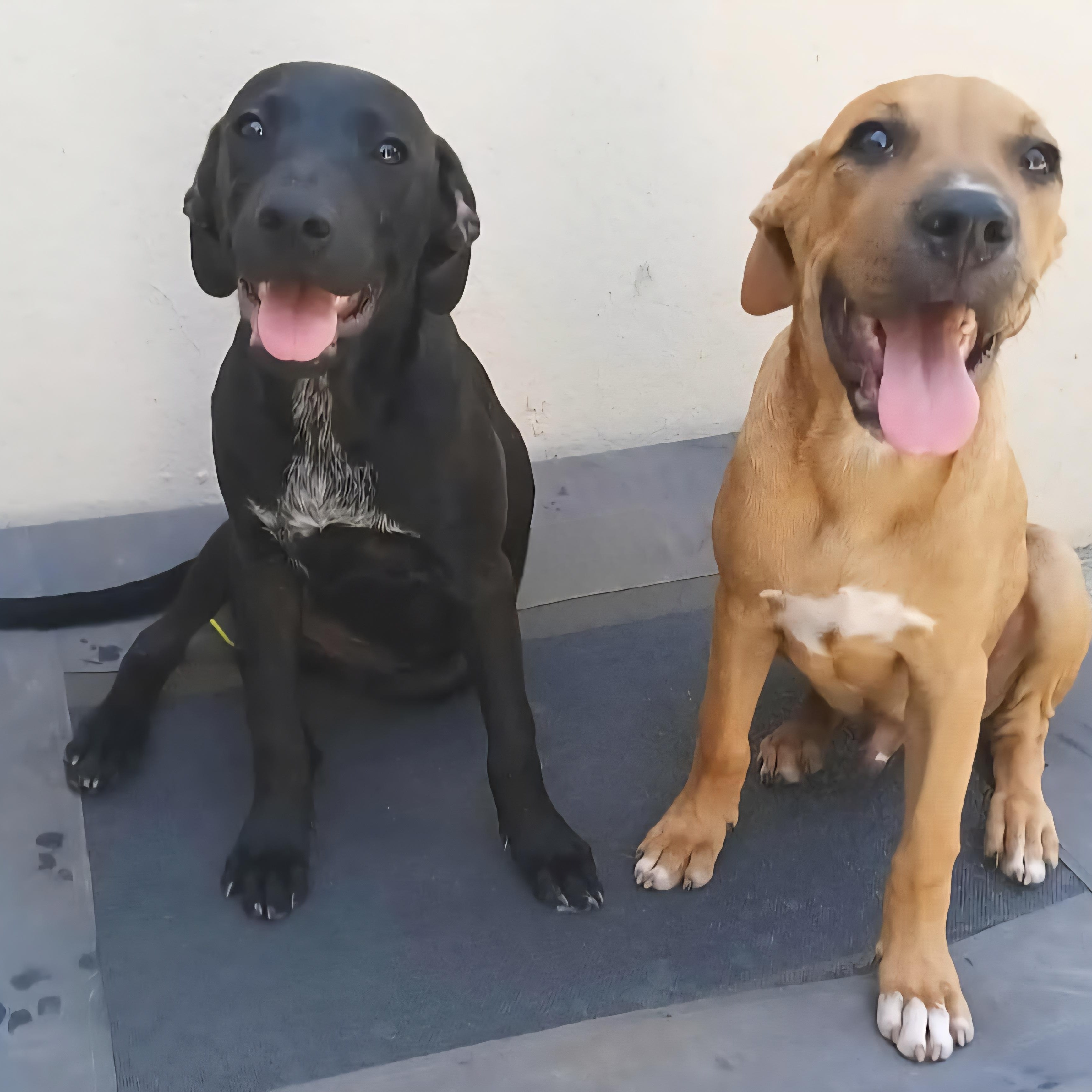 Nubia "ready To Love!" thumbnail 2