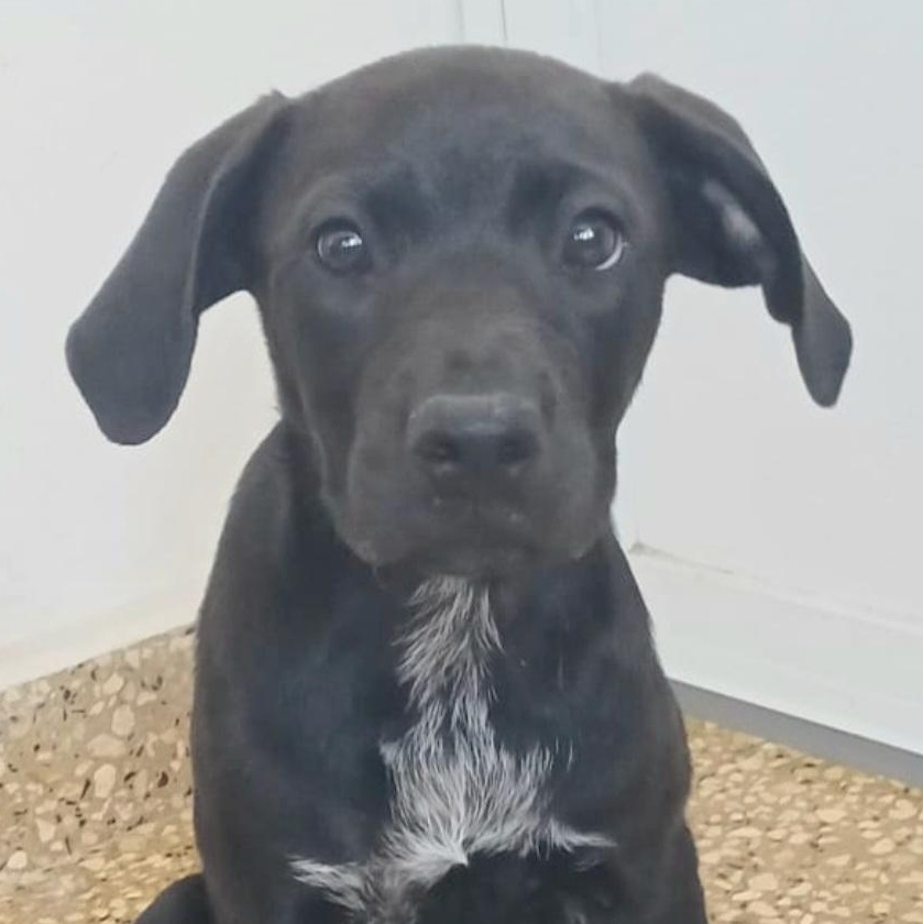 Nubia "ready To Love!" thumbnail 3