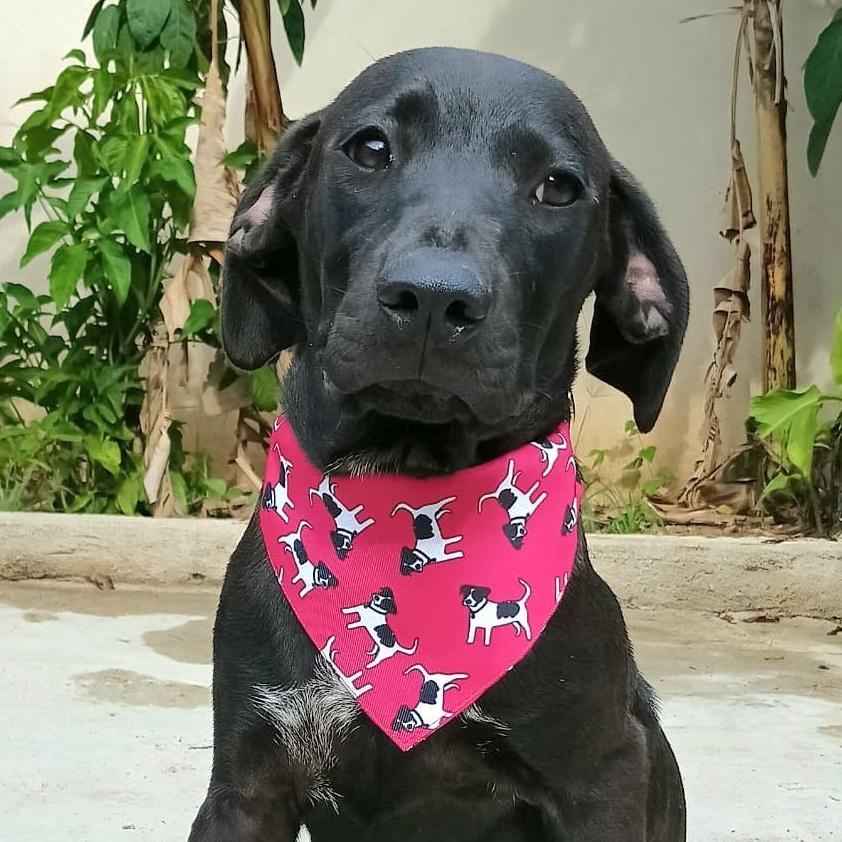 Nubia "ready To Love!" thumbnail 4