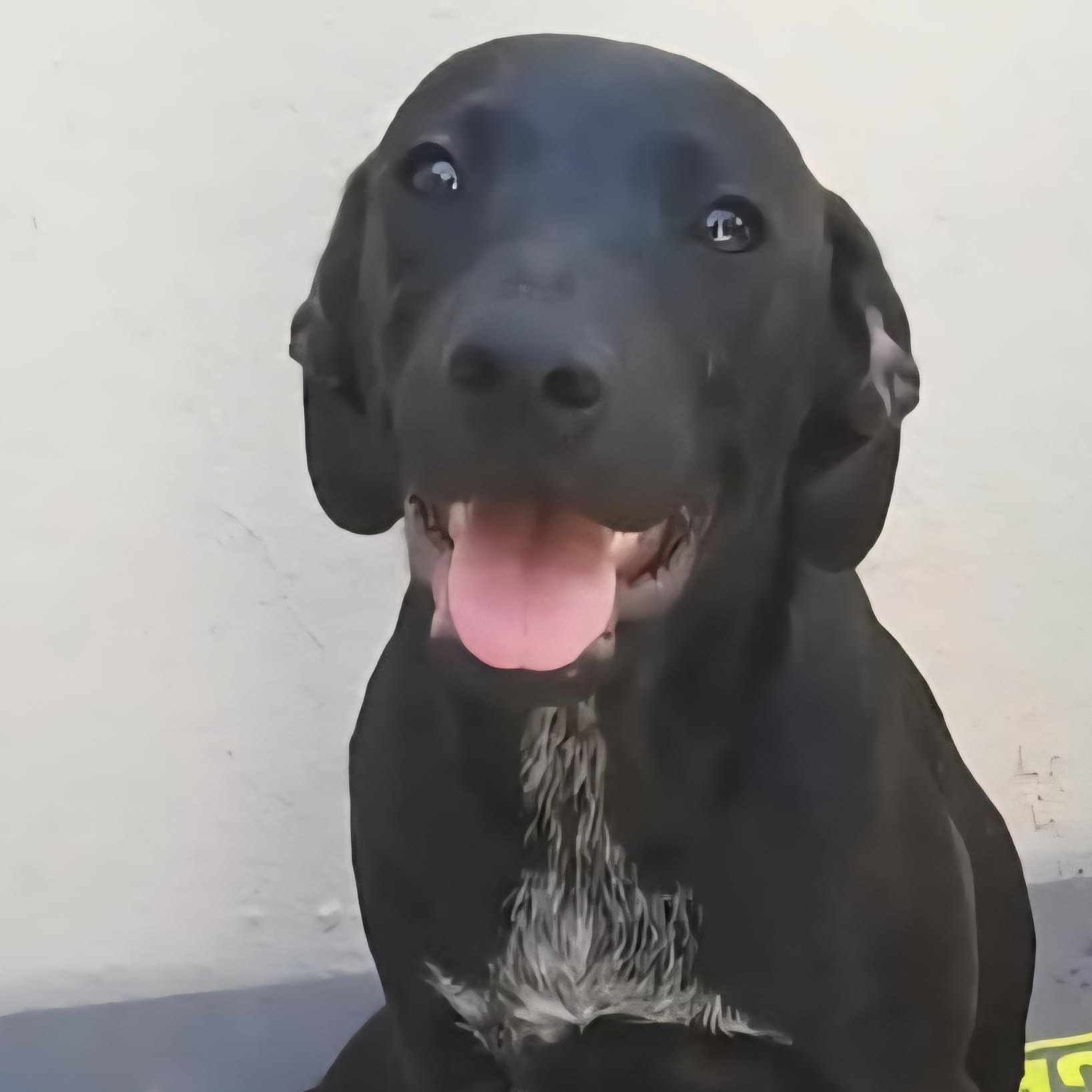 Nubia "ready To Love!" thumbnail 5