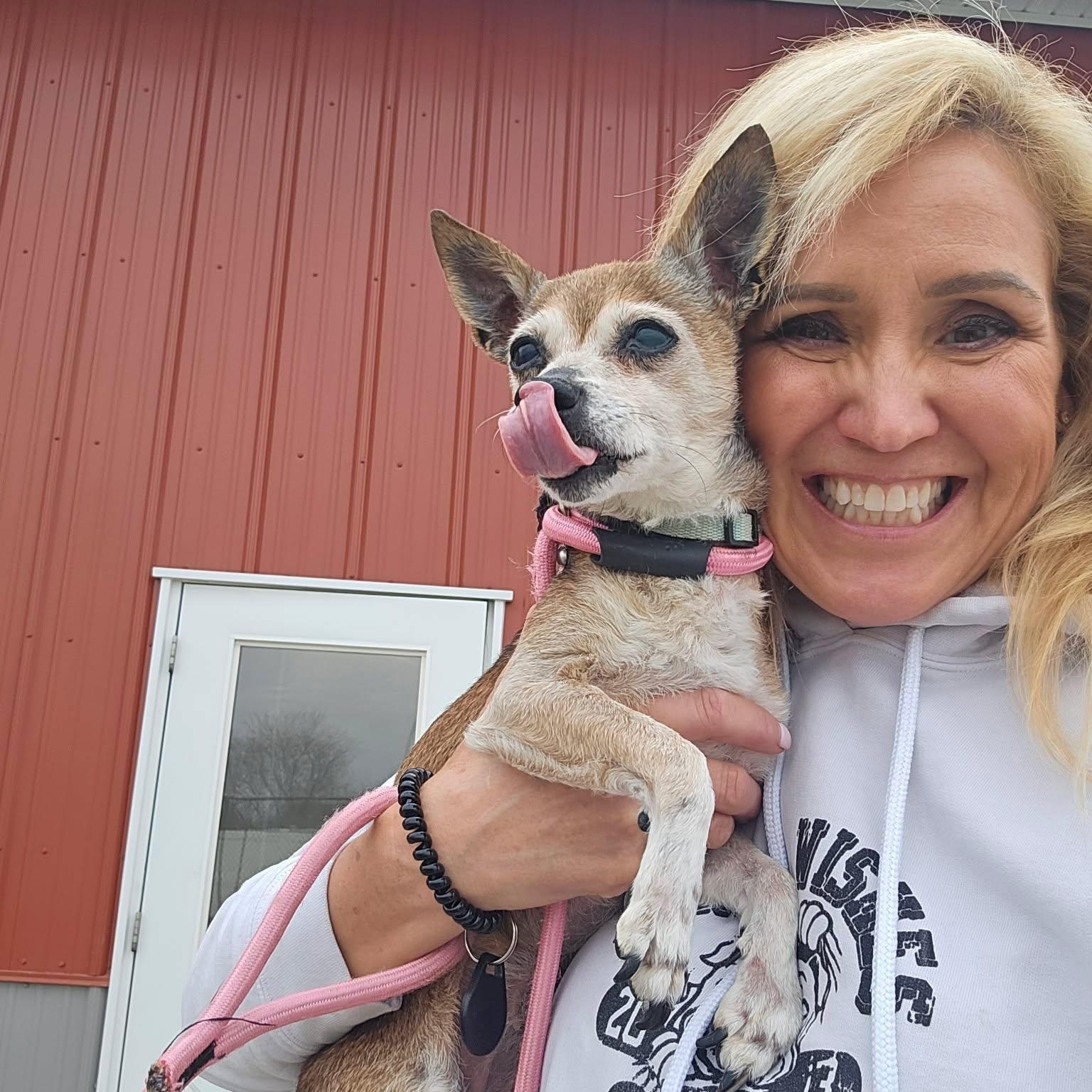 Enlarge Doris, an adopted Chihuahua in Minooka, IL image 1/2
