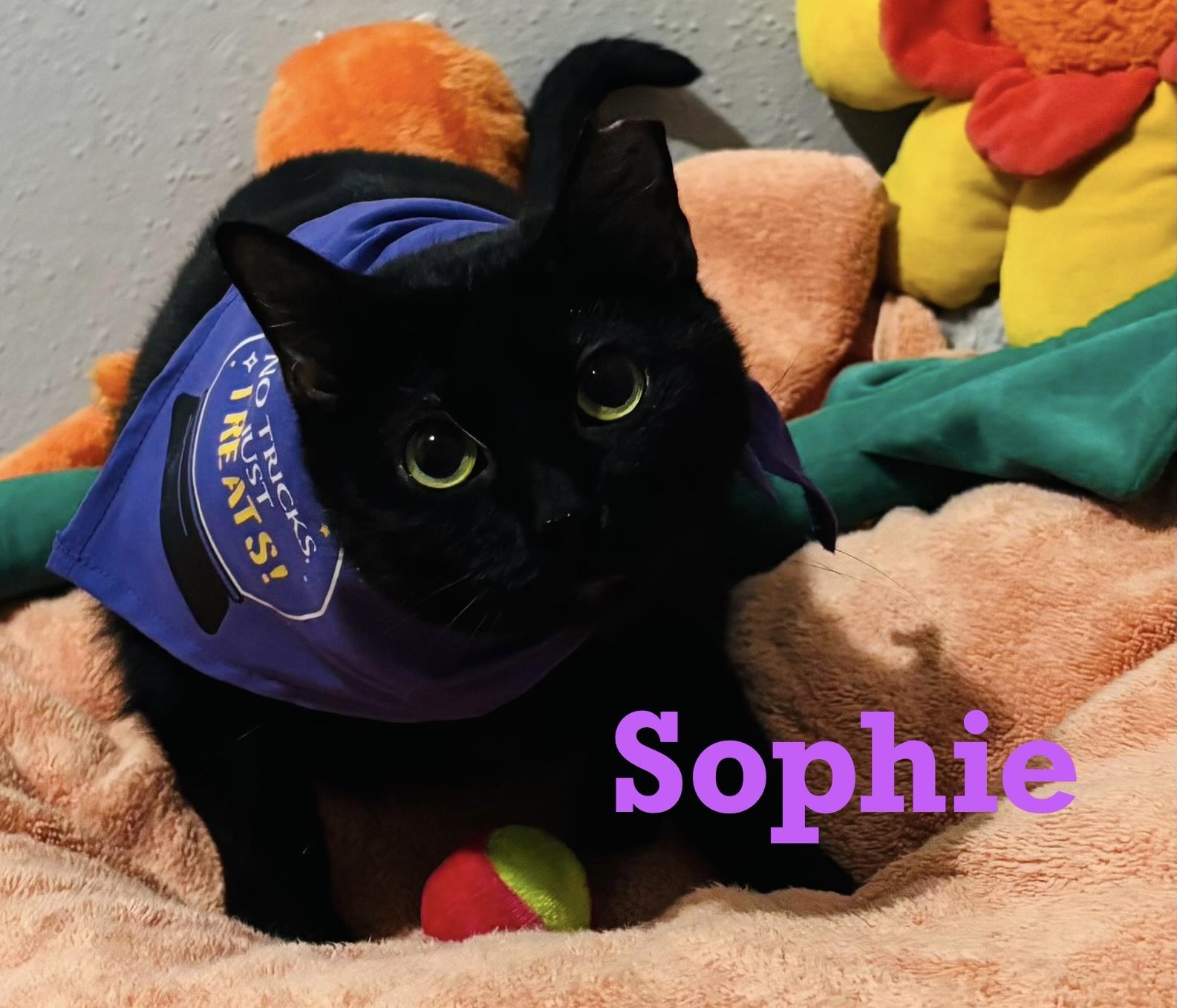 Sophie