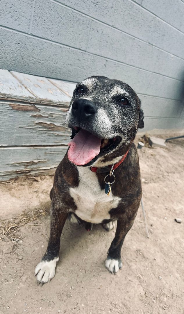 Louie The Great