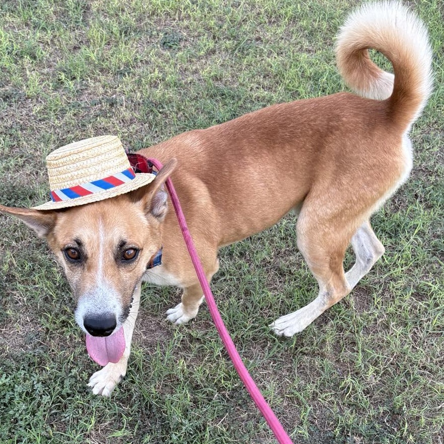 Flako — thumbnail 3