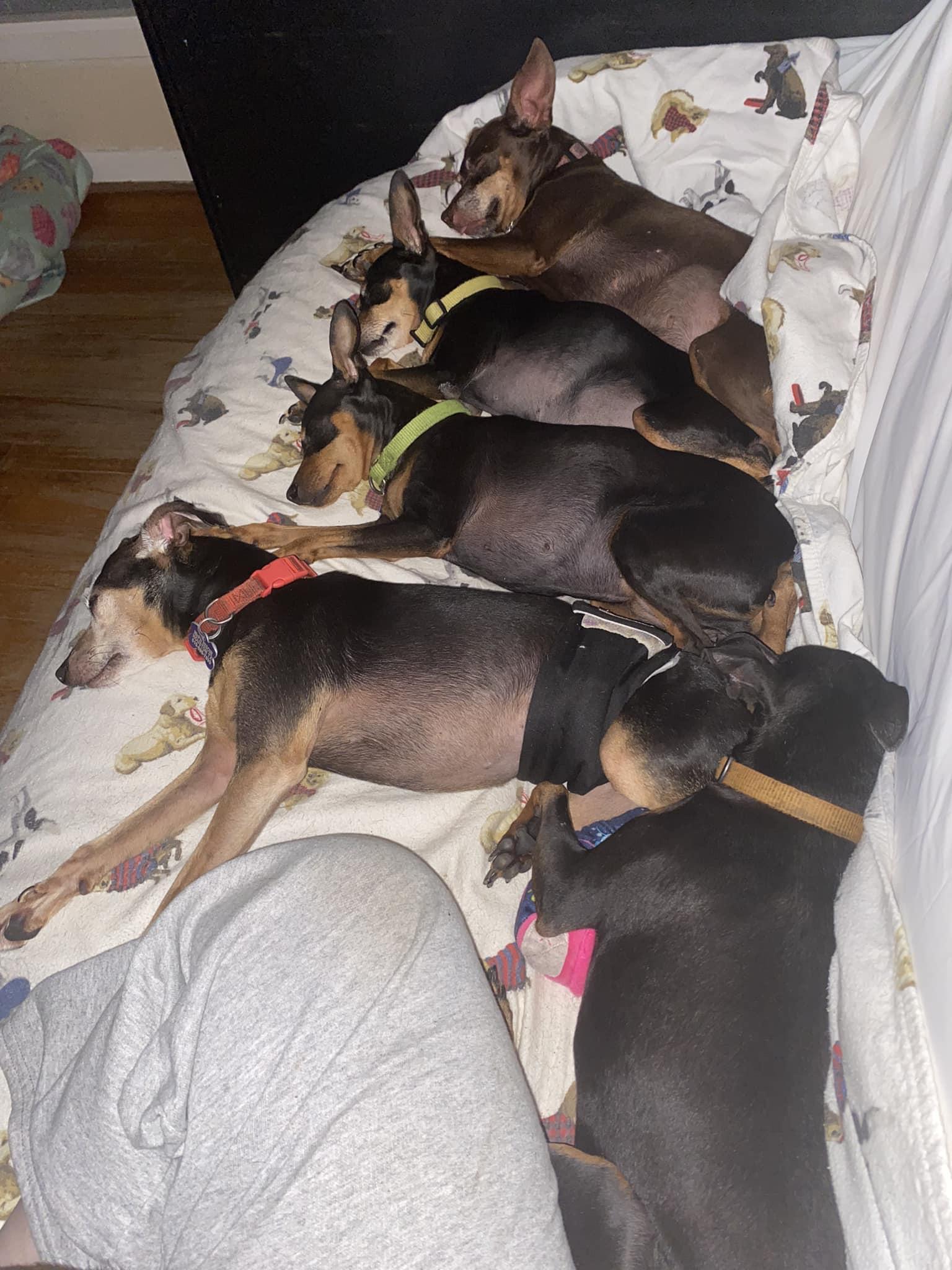 Will & Grace (bonded pair)