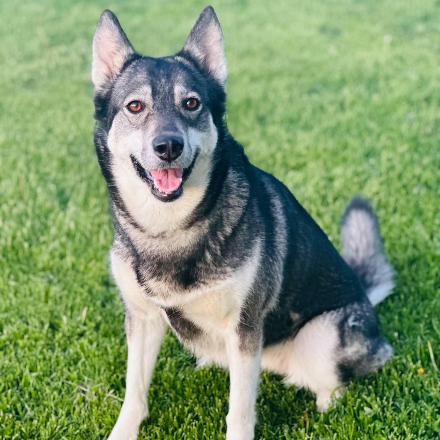 Night Skye - the perfect girl! photo 2