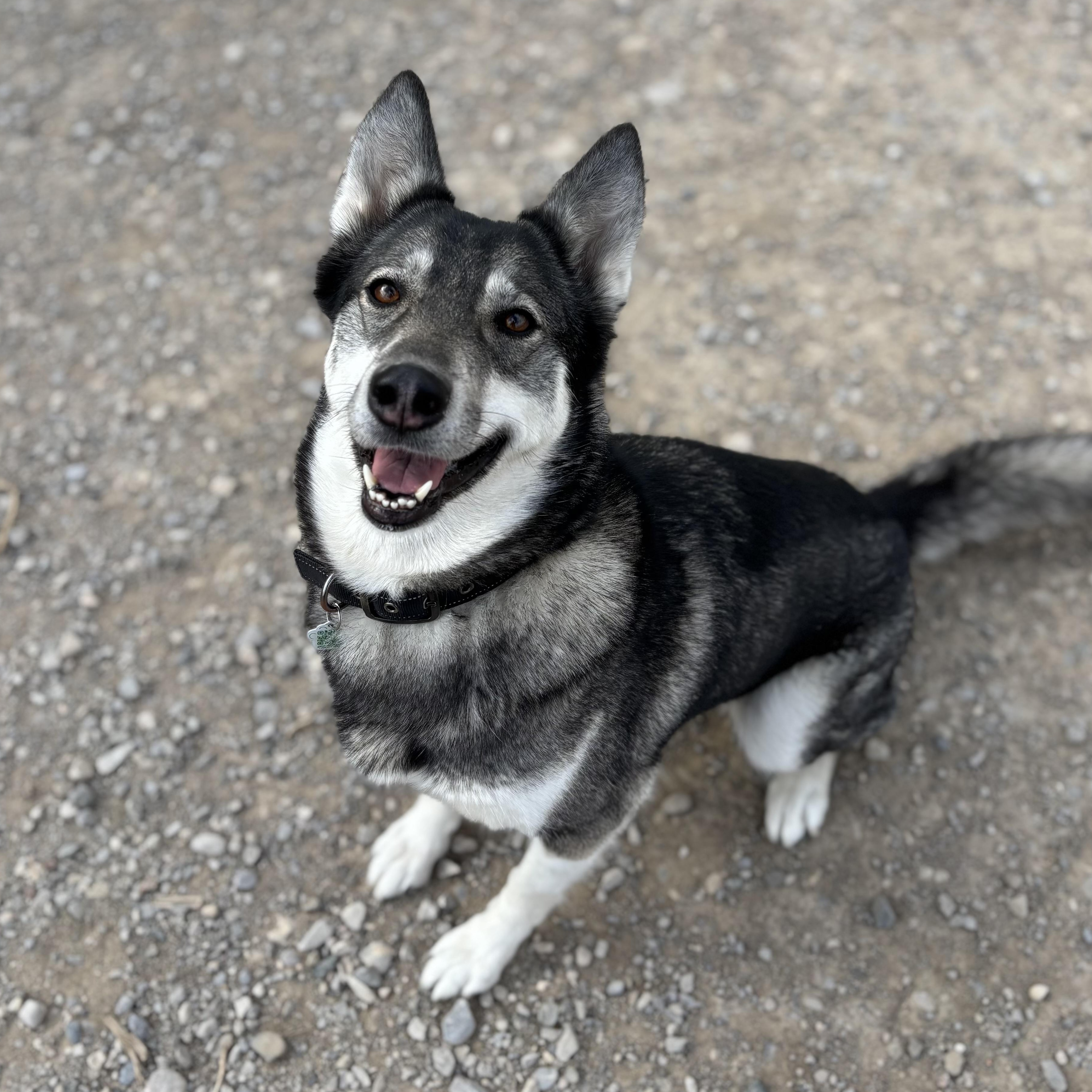 Night Skye - the perfect girl! photo 4