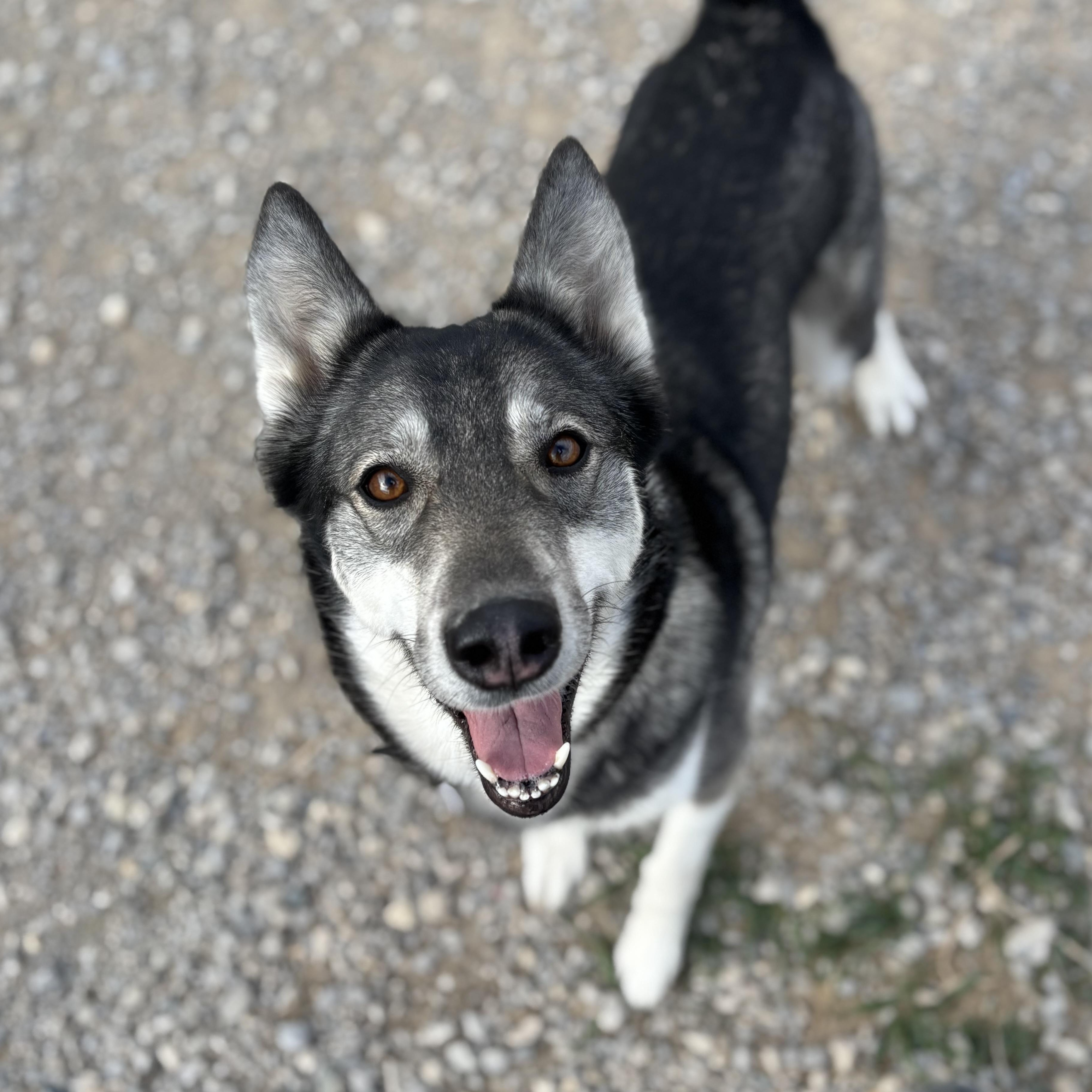 Night Skye - the perfect girl! photo 5