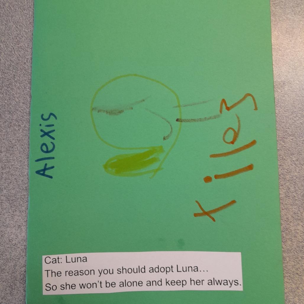 Enlarge Luna, a Adoptable Domestic Short Hair in Pagosa Springs, CO image 1/6