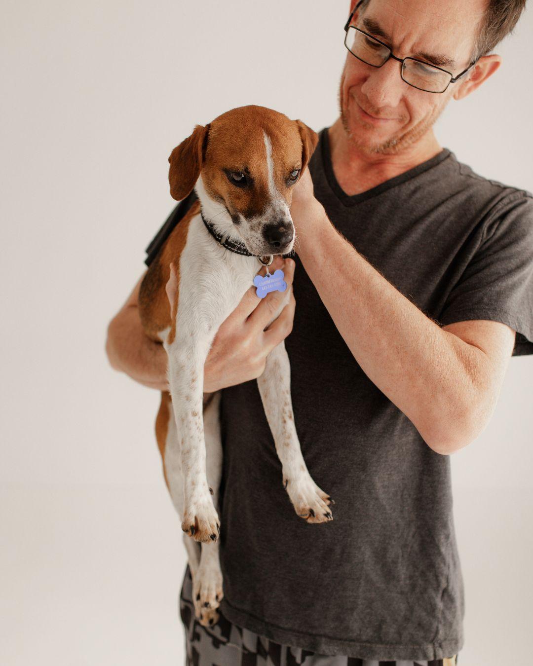 Enlarge Duncan , a ADOPTABLE mixed breed in Columbia, MD image 3/6