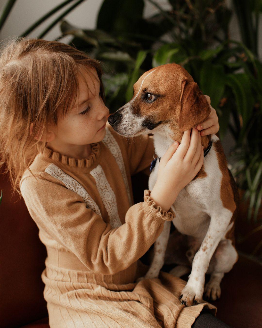 Enlarge Duncan , a ADOPTABLE mixed breed in Columbia, MD image 6/6