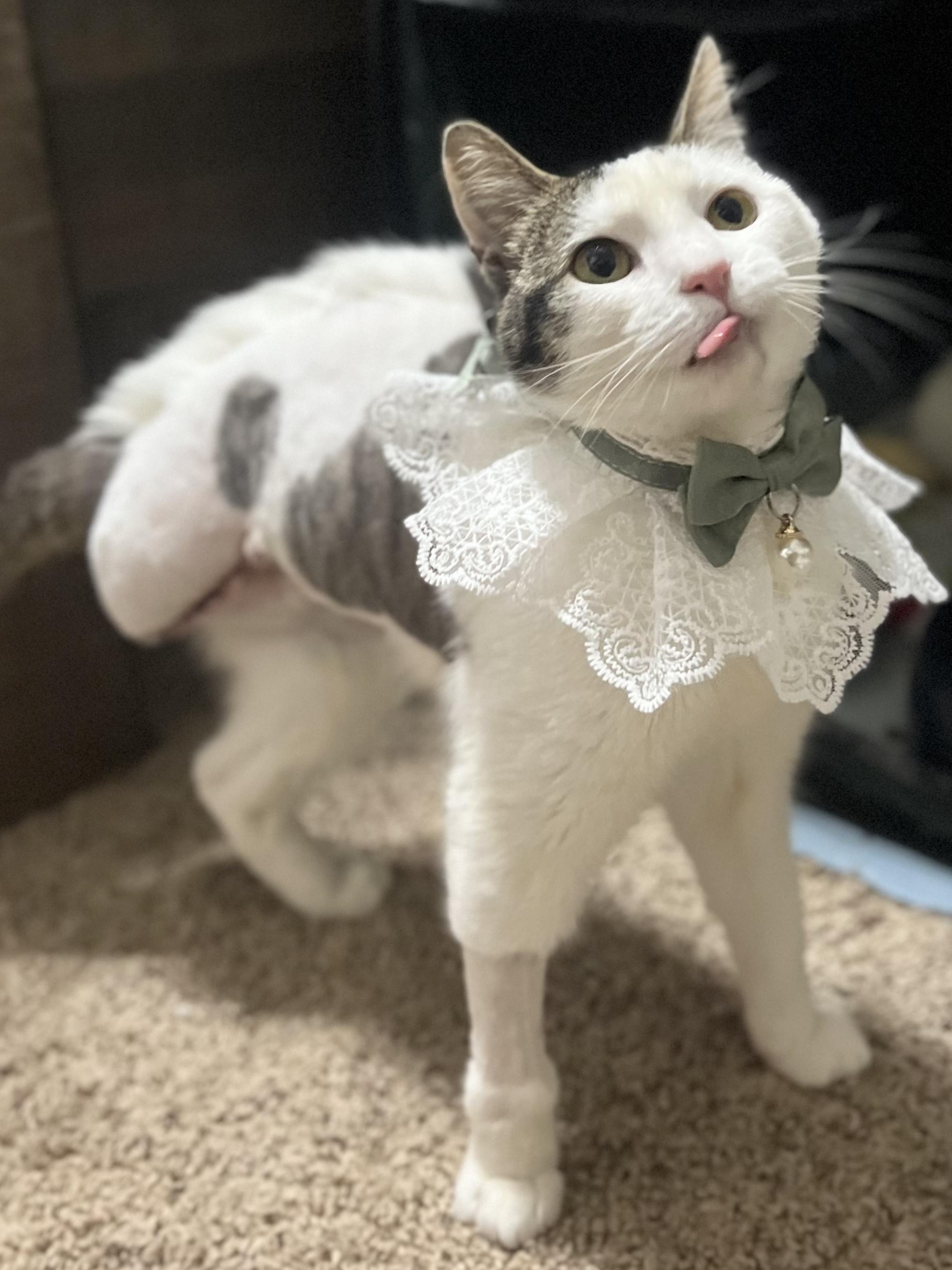 Apple Juice thumbnail 3