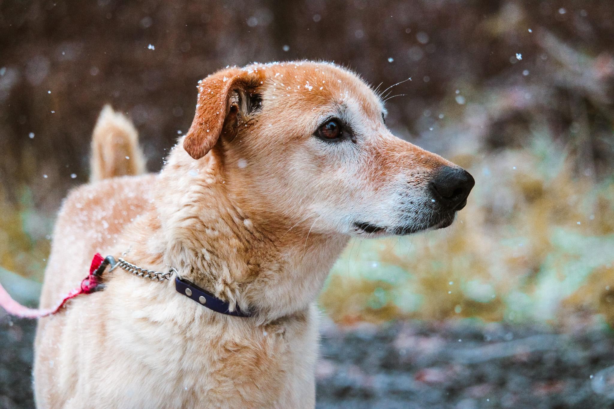 Hurry — thumbnail 2