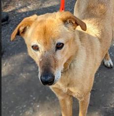 Hurry — thumbnail 3