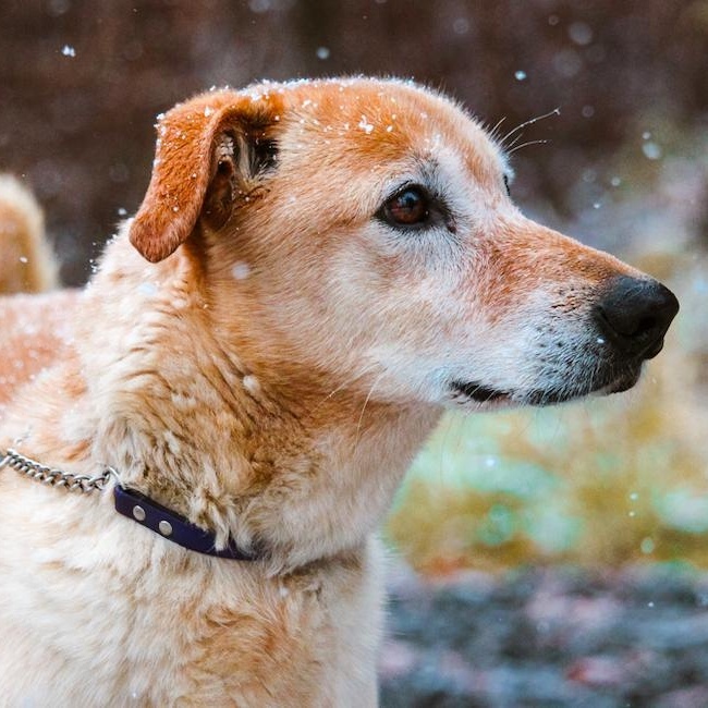 Hurry — thumbnail 4