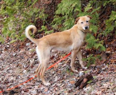 Hurry — thumbnail 5