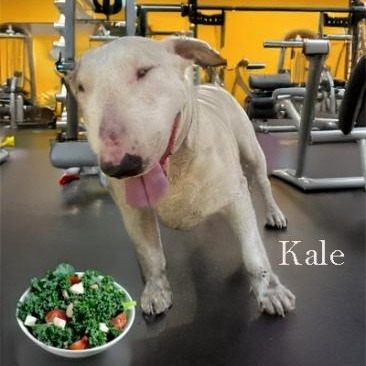 Kale