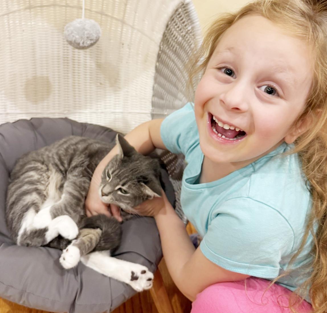 Enlarge Bella is a beauty inside and out!   Gentle loving adorable!, an adoptable mixed breed in Bedford Hills, NY image 3/6