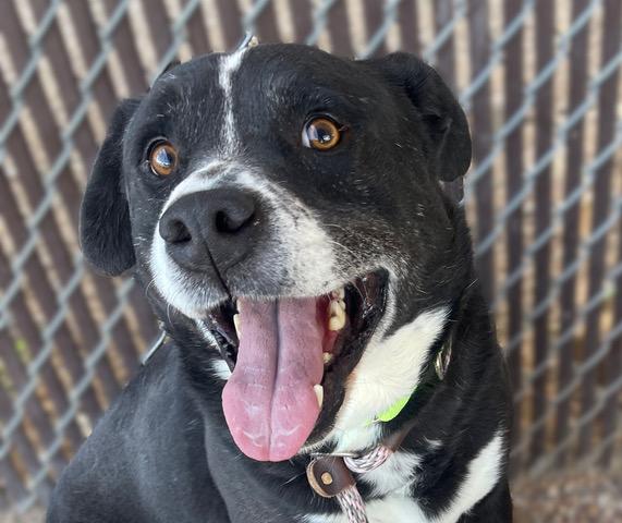 TITAN* — thumbnail 2