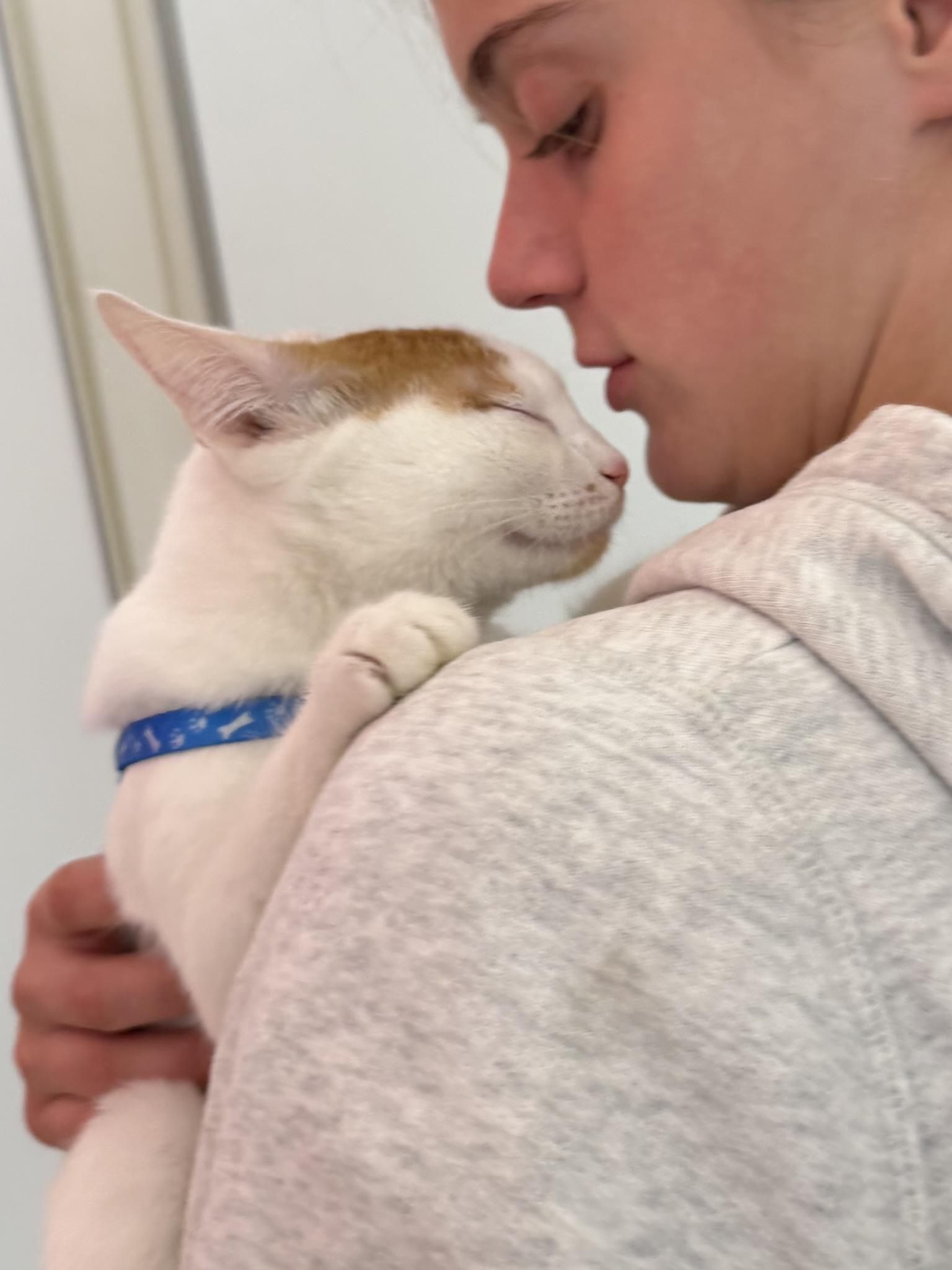 Enlarge Zoe, an adopted mixed breed in Ridgefield, CT image 3/6