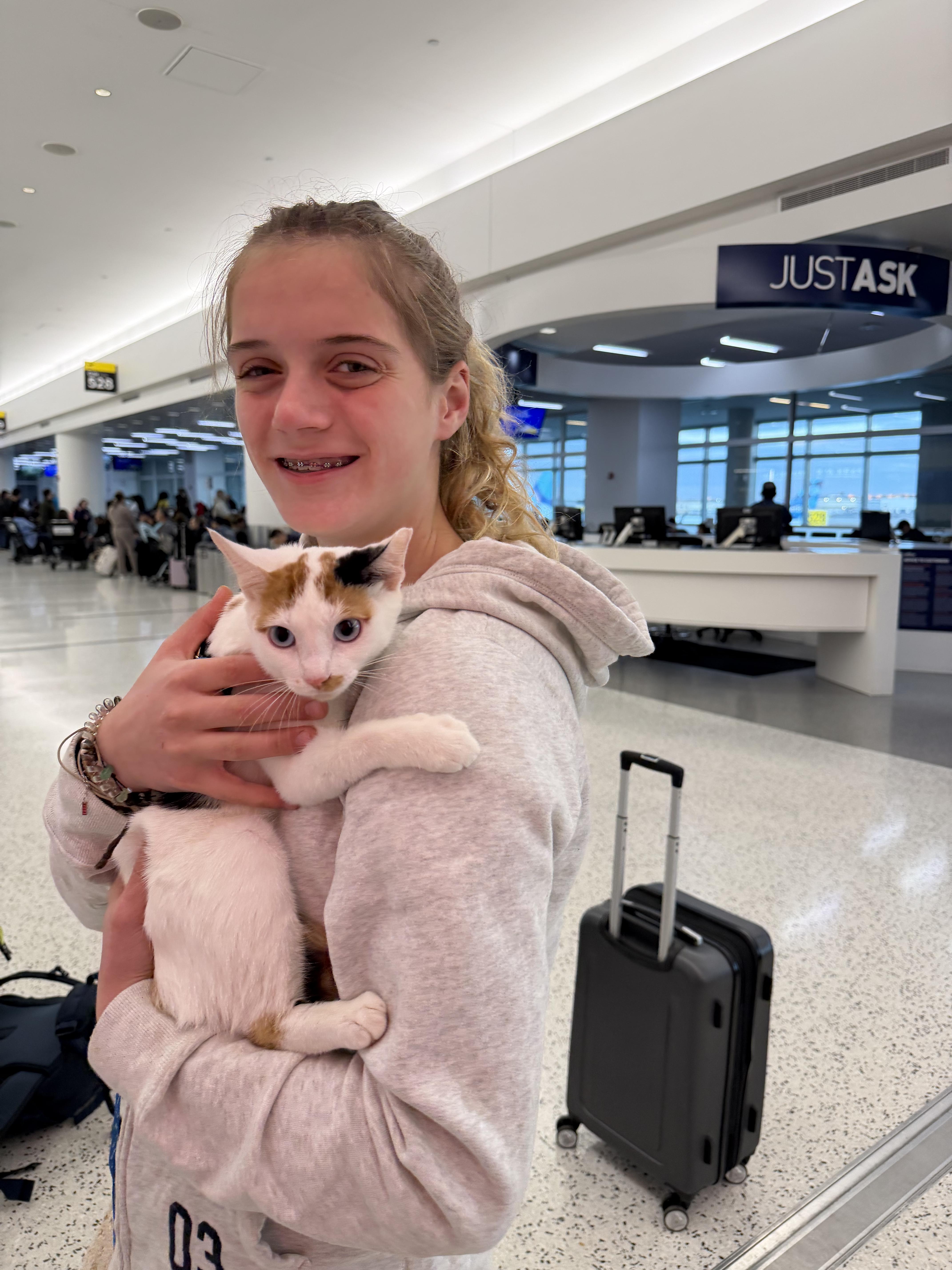 Enlarge Zoe, an adopted mixed breed in Ridgefield, CT image 5/6