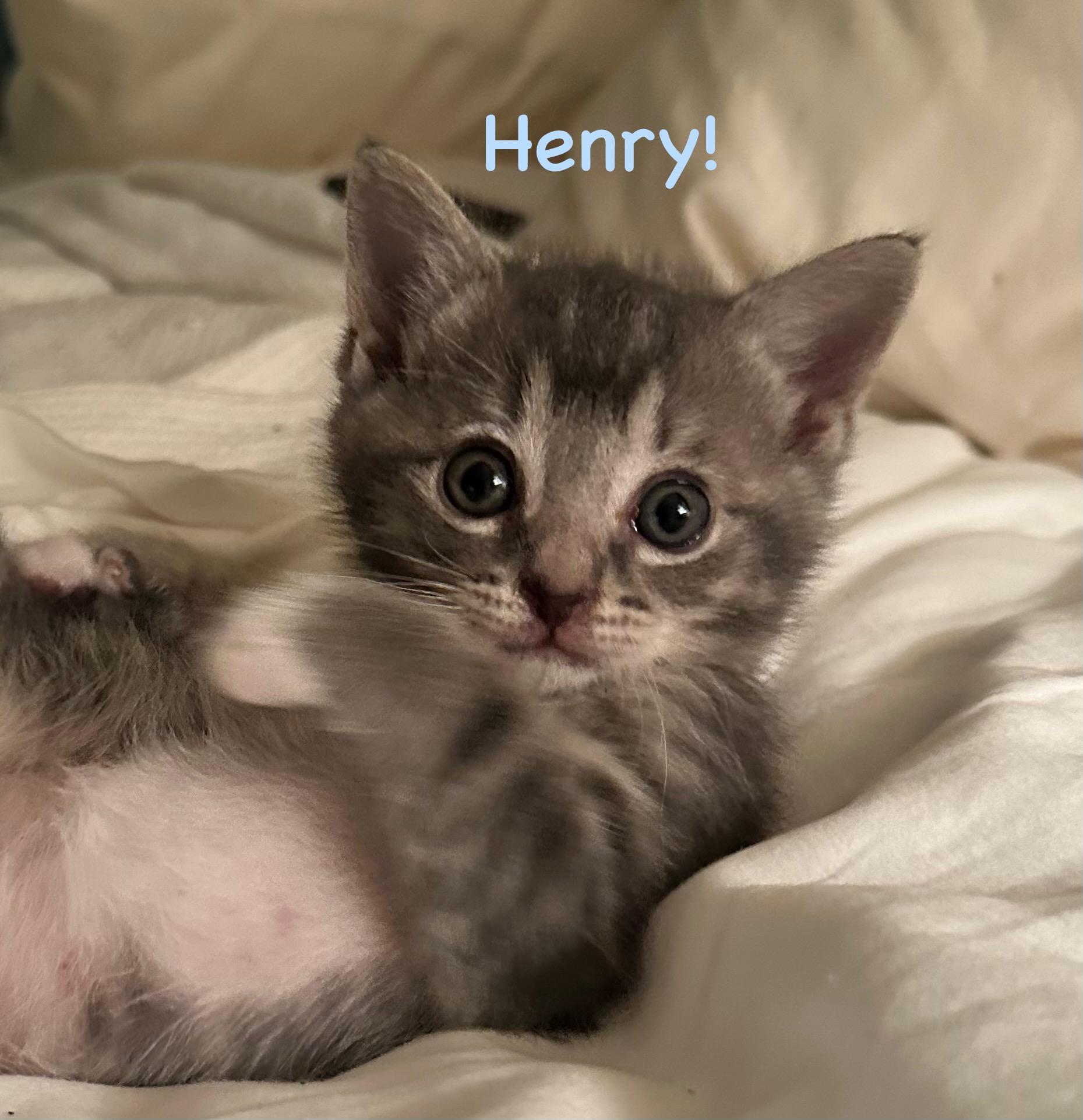 Henry
