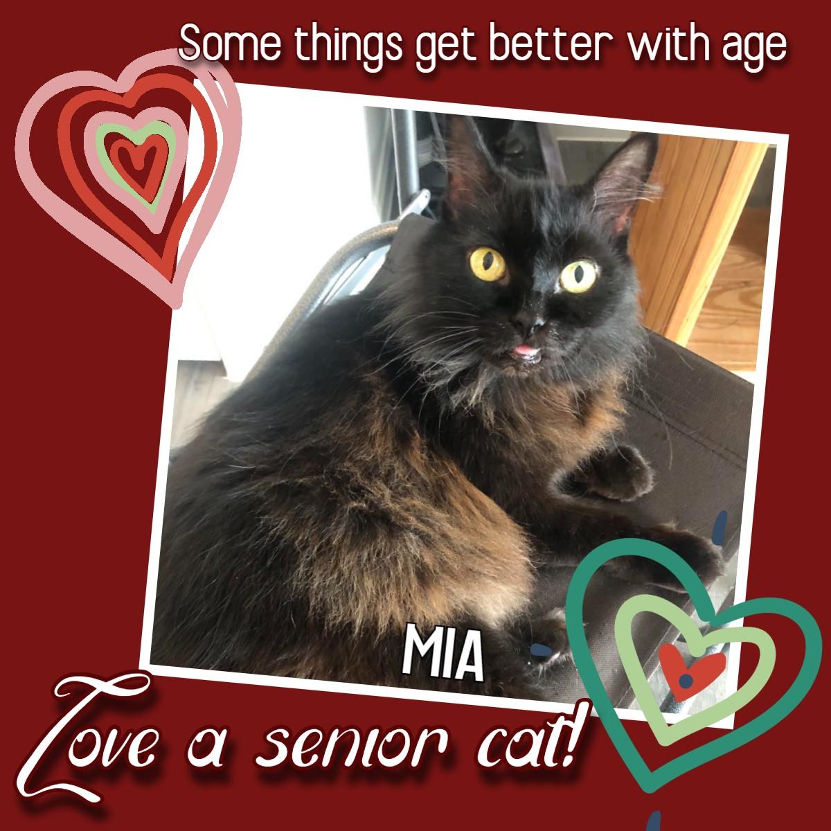 Mia, Senior Female unknown