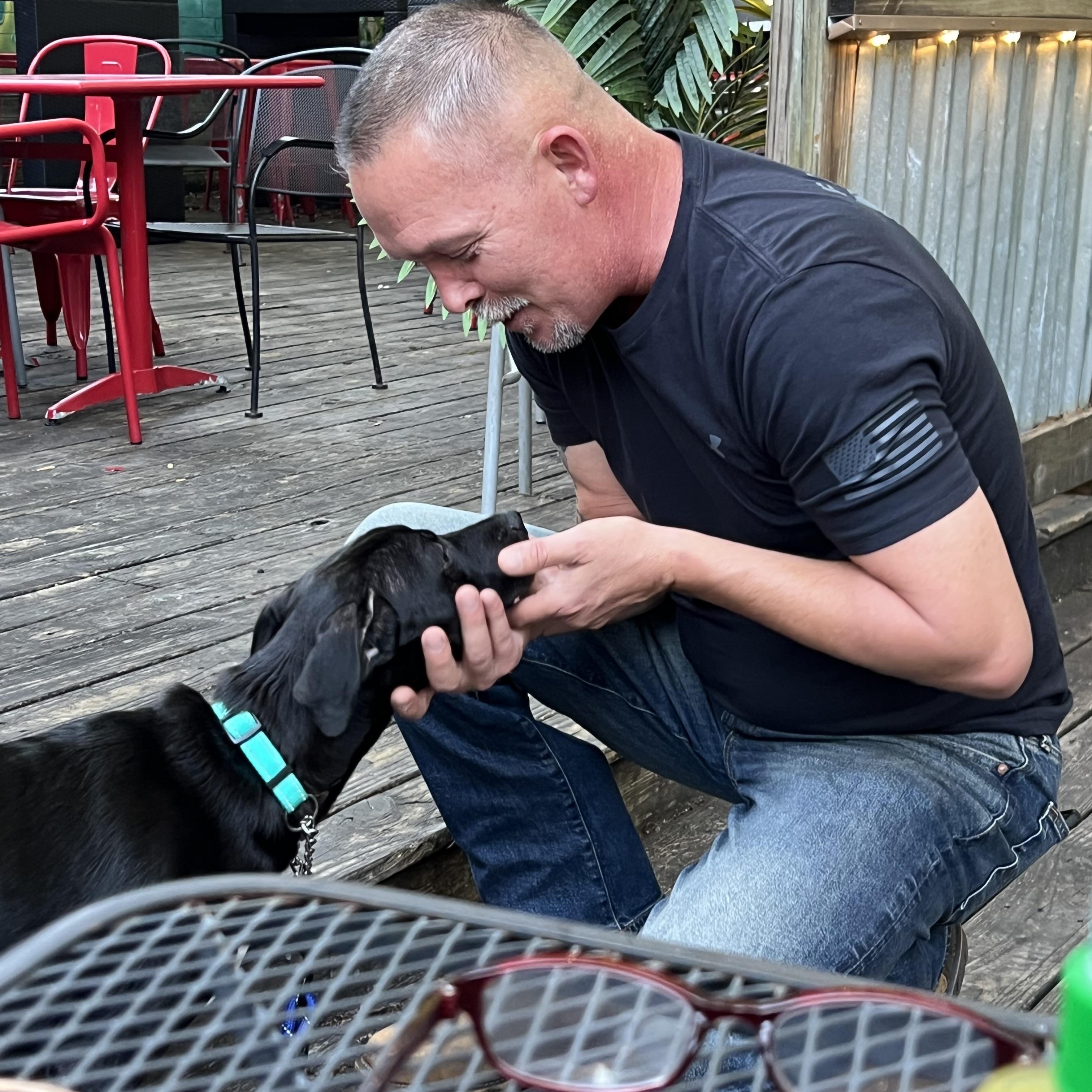 Joey, a ADOPTABLE mixed breed in Mt Pleasant, SC image 2/6