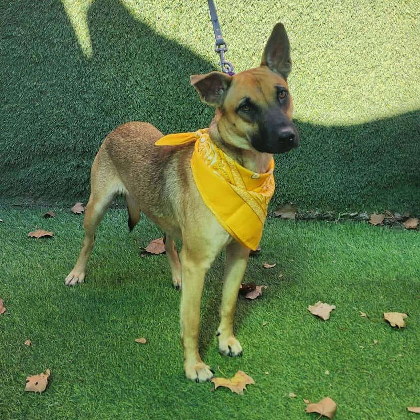 Jordan — thumbnail 2