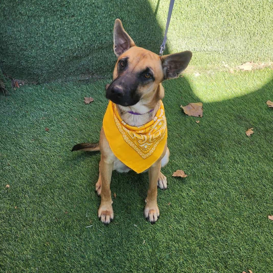 Jordan — thumbnail 5