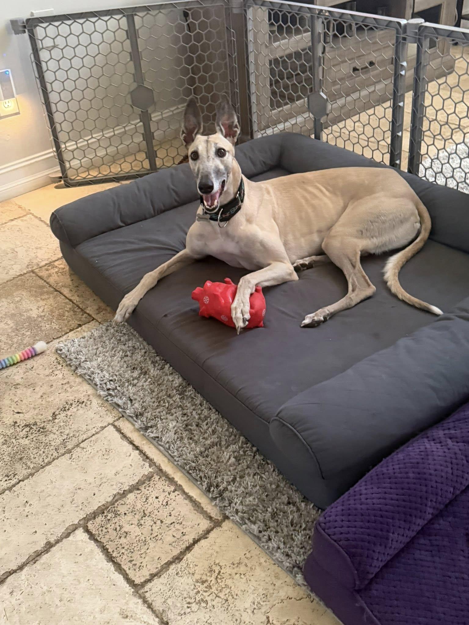 Stf Flat Out thumbnail 6