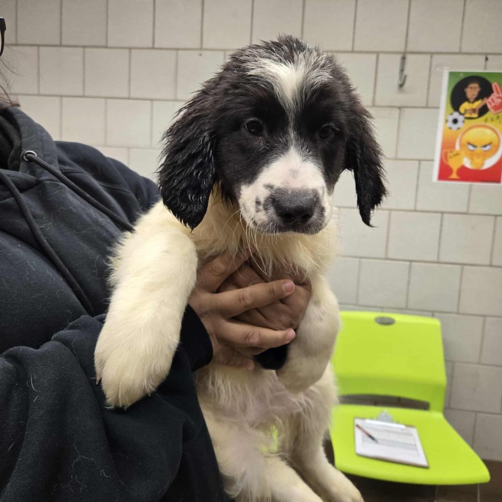 Taylor Mckessie thumbnail 2