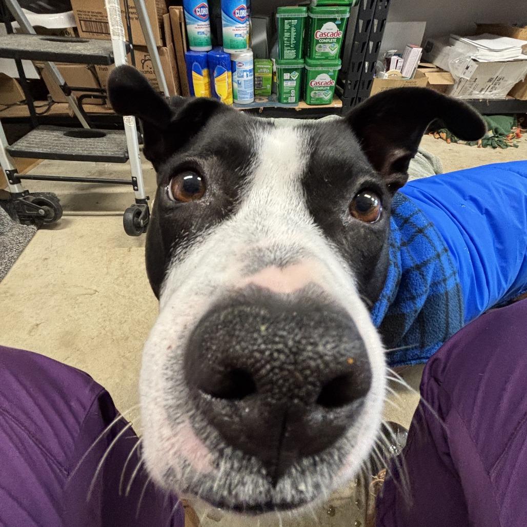 Missy — thumbnail 3