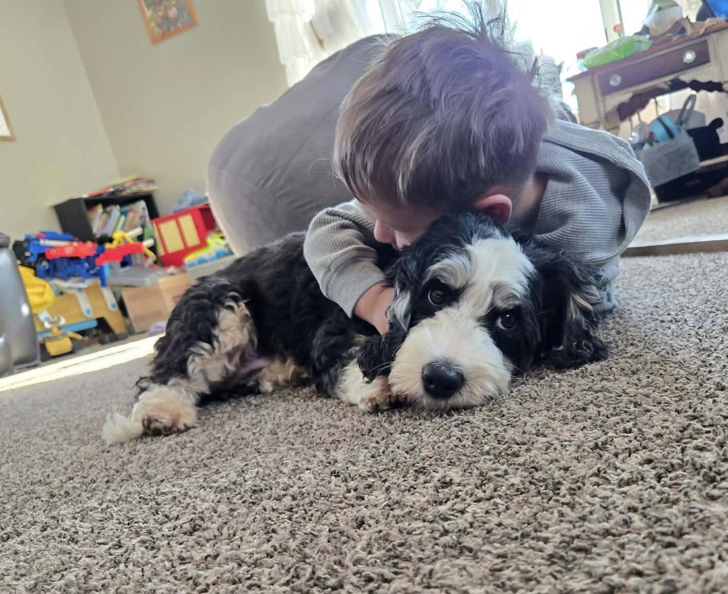 Enlarge HoneyBee, an adopted mixed breed in Decorah, IA image 3/6